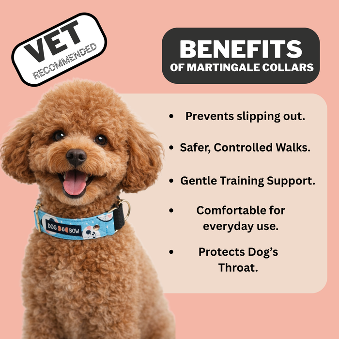 Panda Martingale Collar (1.5 inch width)