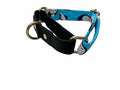 Panda Print Martingale Collar Small(1 inch width)
