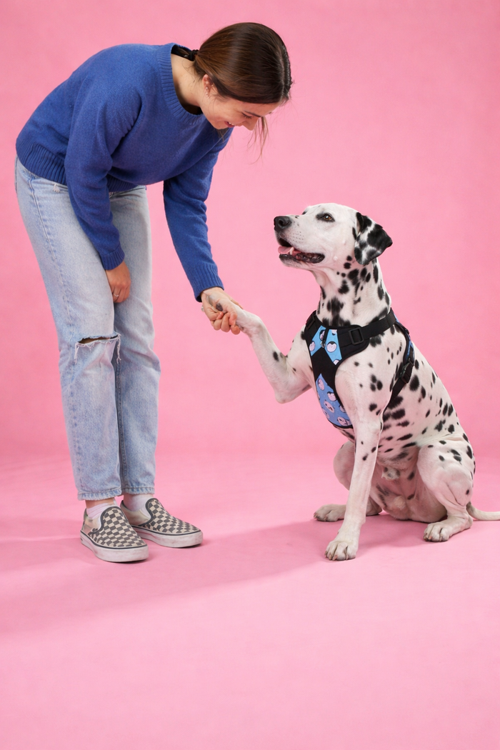 Panda Printed Double Padded Harness