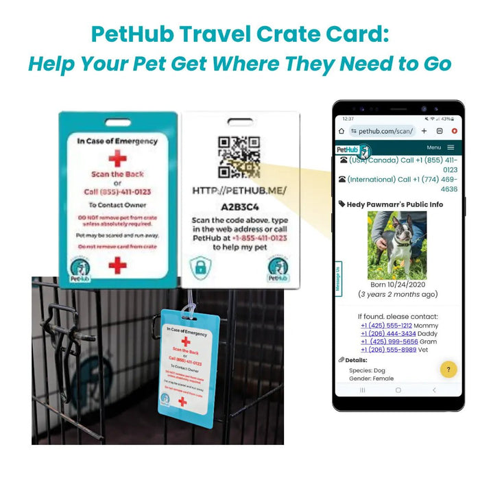 PetHub QR Pet ID Comprehensive ReadyKit – Complete Emergency Kit - FloofChonk