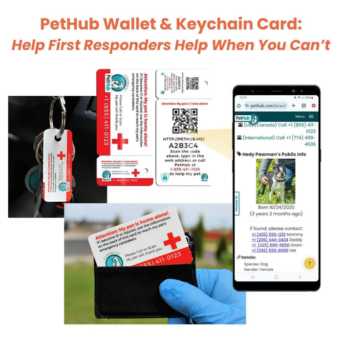PetHub QR Pet ID Wallet & Keychain Card – Emergency Backup for Your Pet - FloofChonk