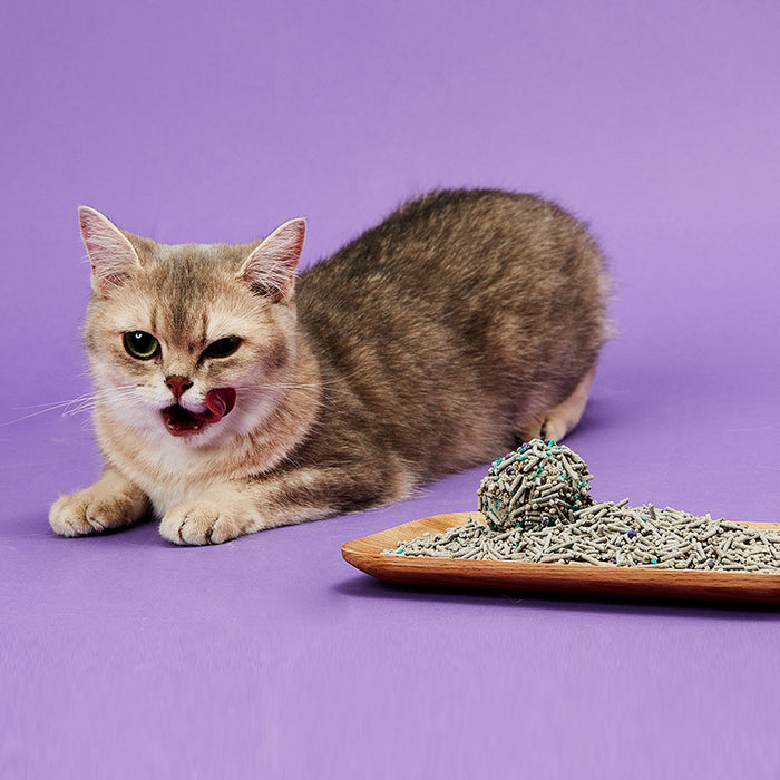 PETKIT Litière mixte 5 en 1 pour chats (14,5 kg - Paquet de quatre)