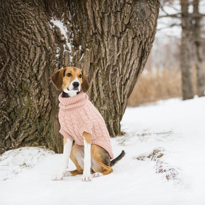 Pink Chalet Dog Sweater