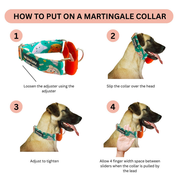 Pokemon Martingale Collar (1.5 inch width)