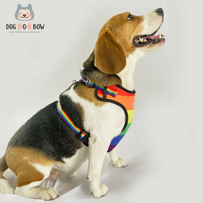 Pride Print Mesh Harness