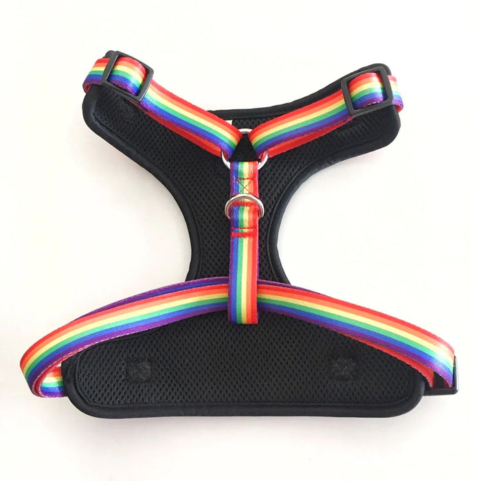 Pride Print Mesh Harness