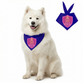 Rajasthan Royal Companion Pet Bandana