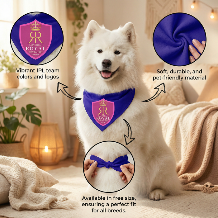 Rajasthan Royal Companion Pet Bandana