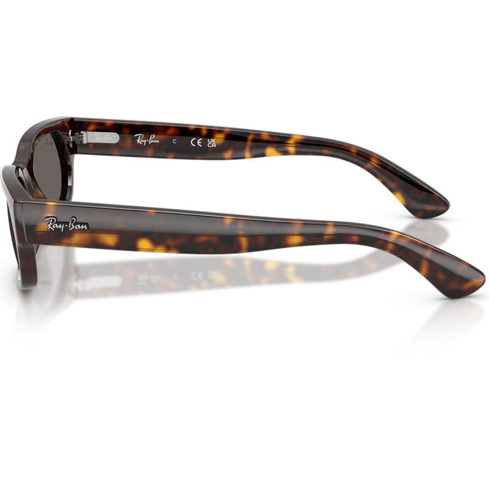 Ray-Ban RB2236 Havana Dark Grey Glass Side