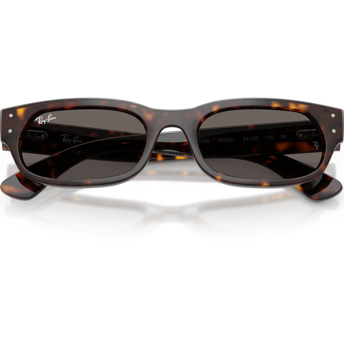 Ray-Ban RB2236 Havana Dark Grey Glass Front2