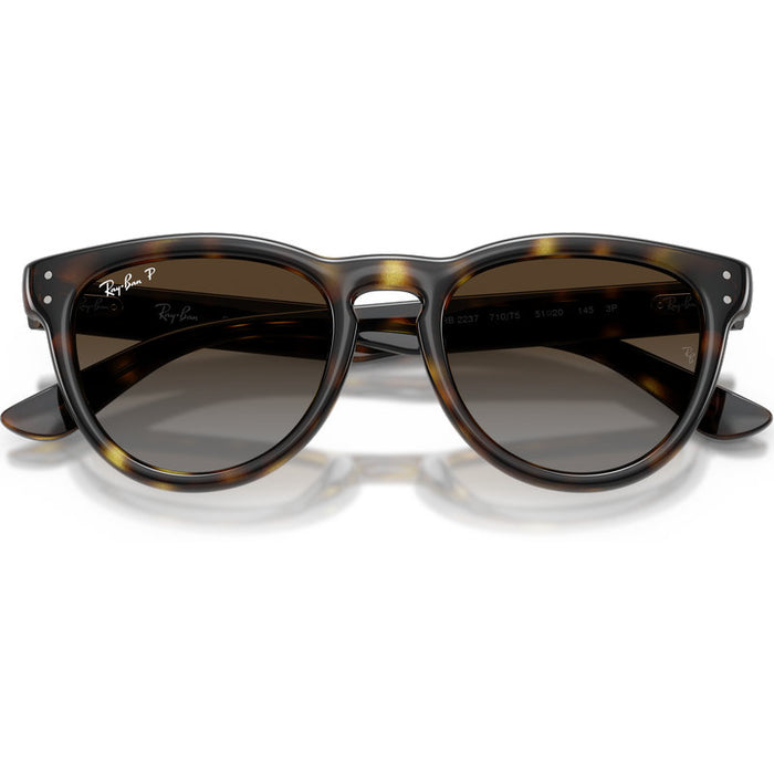 Ray-Ban RB2237 Havana Brown Grey Gradient Polarised Front2