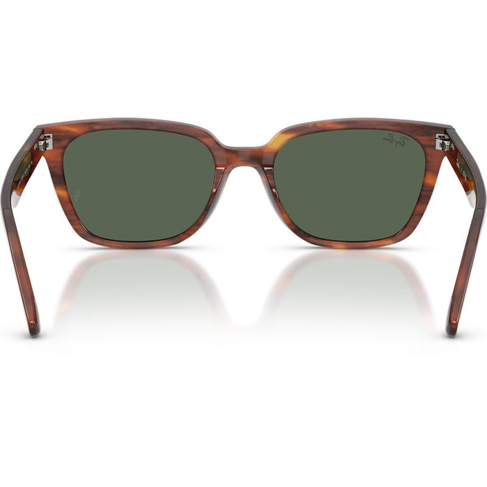 Ray-Ban RB2243D Striped Havana Dark Green Inner