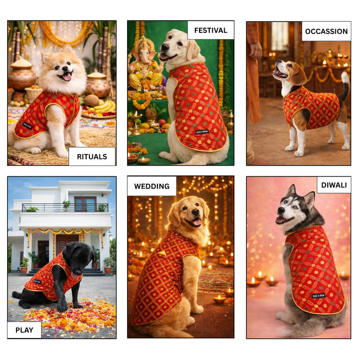 Red Banarasi Sherwani