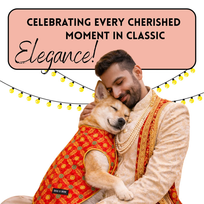 Red Banarasi Sherwani