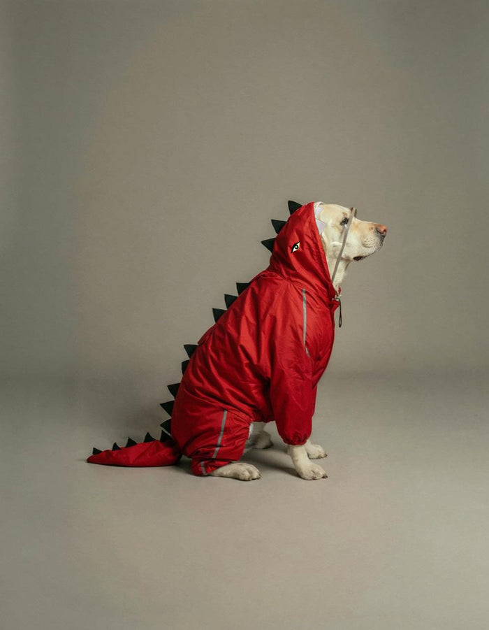Red Dino Raincoat