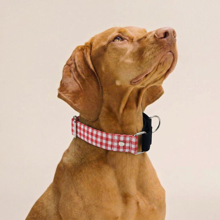 Red Gingham Martingale Collar (1.5 inch width)