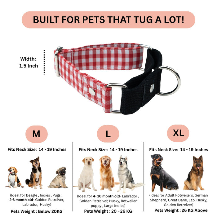 Red Gingham Martingale Collar (1.5 inch width)