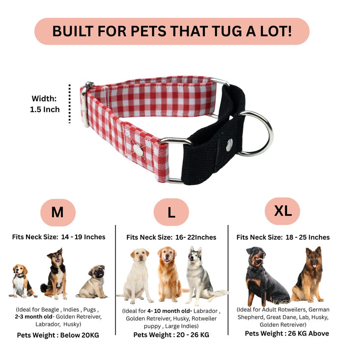 Red Gingham Martingale Collar