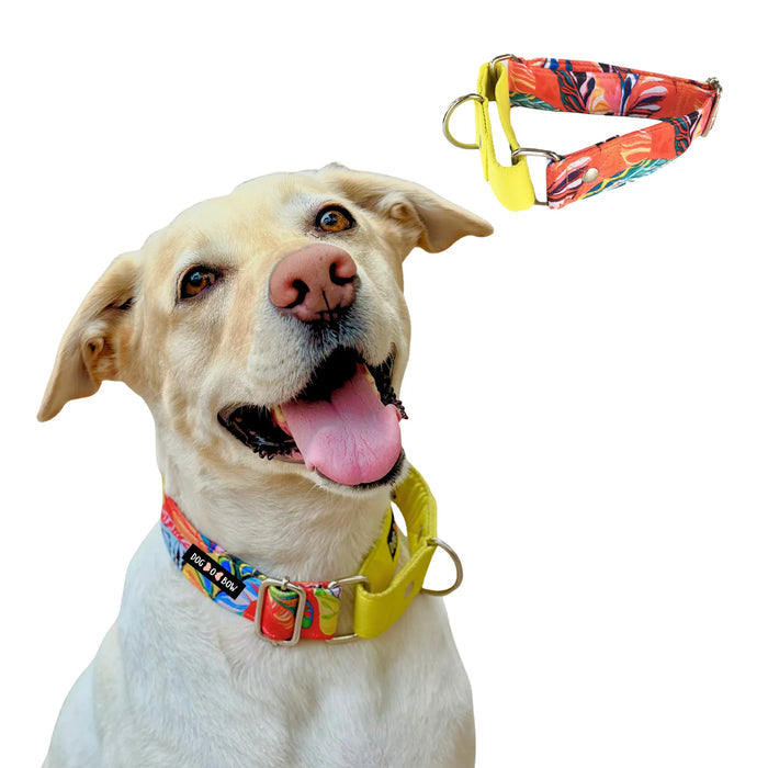 Red Hawaii Martingale Collar (1.5 inch width)