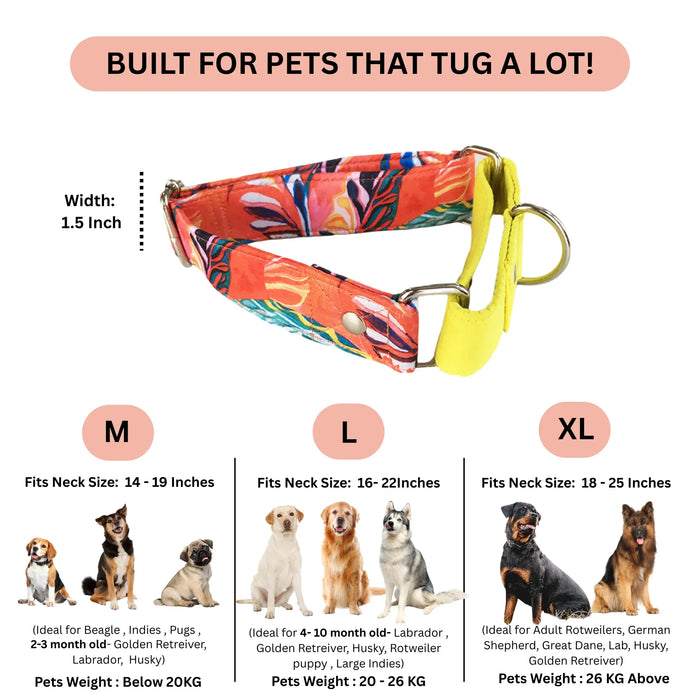 Red Hawaii Martingale Collar (1.5 inch width)