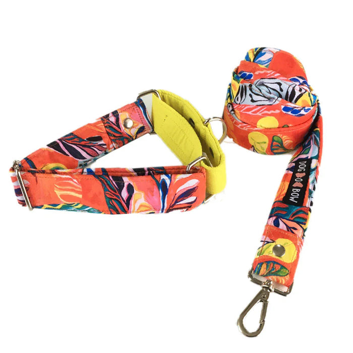 Red Hawaii Print martingale Leash combo (1.5 inch Width)