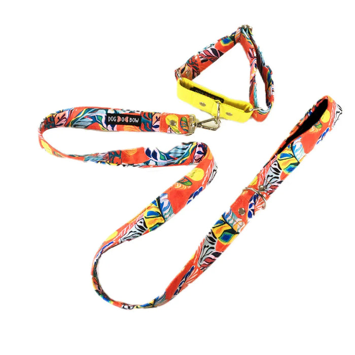 Red Hawaii Print martingale Leash combo (1.5 inch Width)