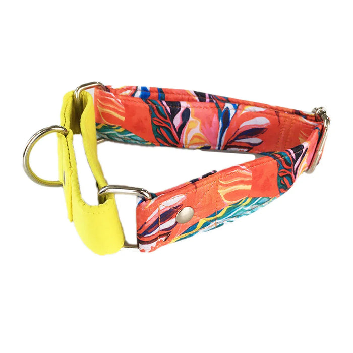 Red Hawaii Print martingale Leash combo (1.5 inch Width)