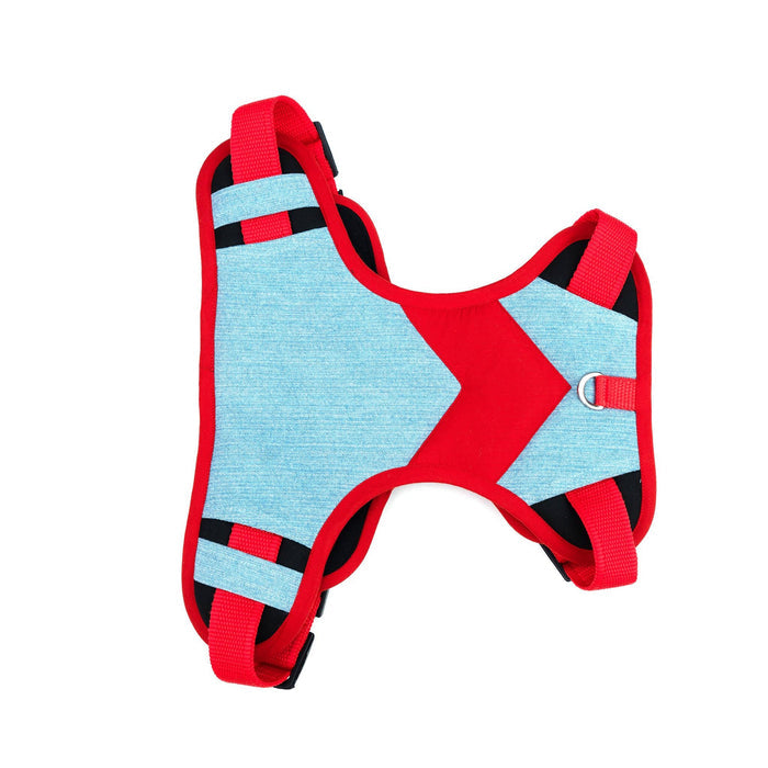 Red Teal Double Padded Harness
