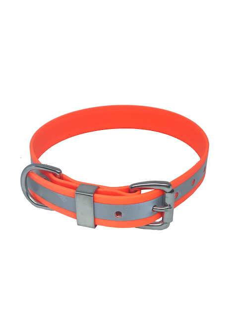 Stainless Steel / Medium / Orange