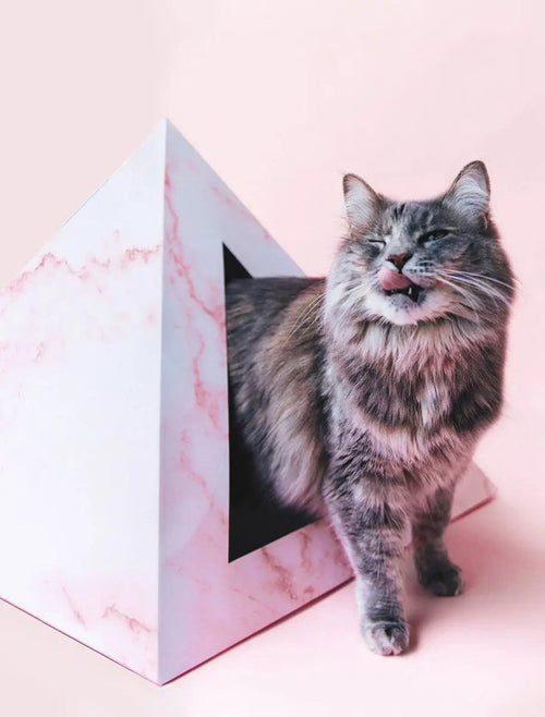 'Rose Quartz' Cardboard Cat Pyramid - FloofChonk