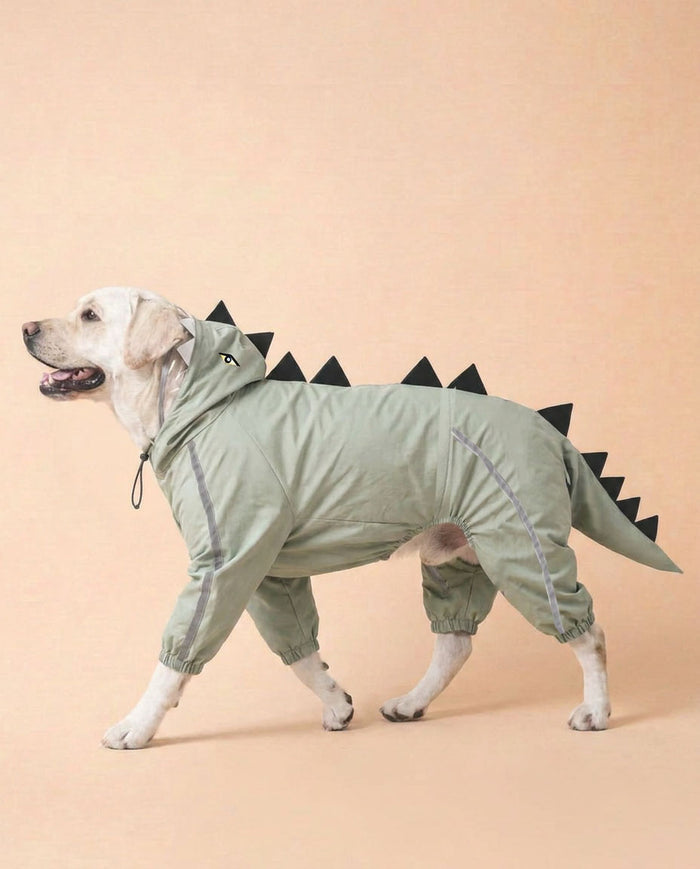 Sage Green Dino Raincoat