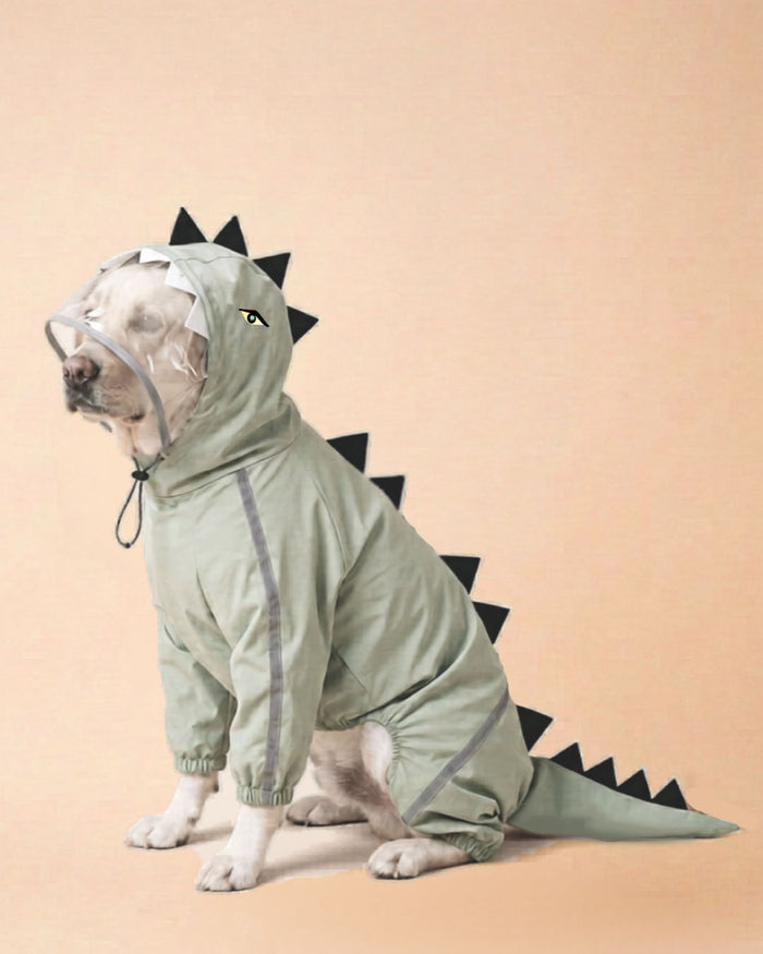 Sage Green Dino Raincoat