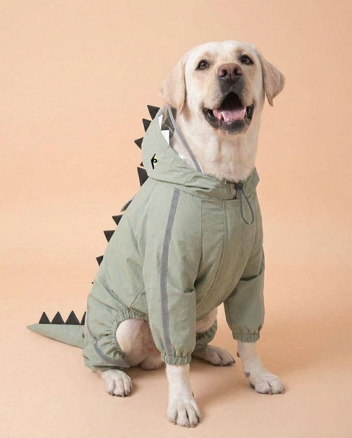 Sage Green Dino Raincoat