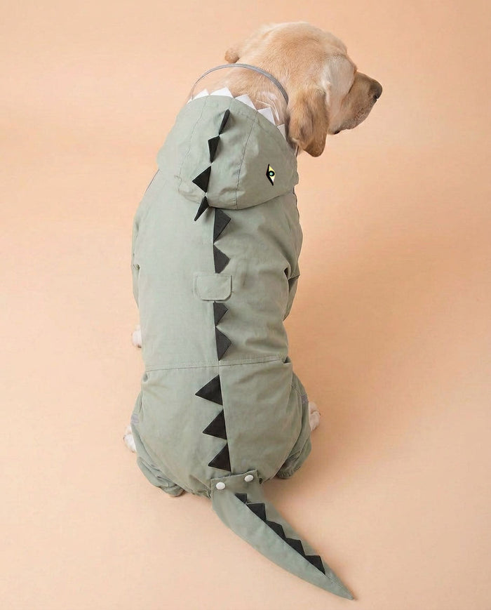 Sage Green Dino Raincoat