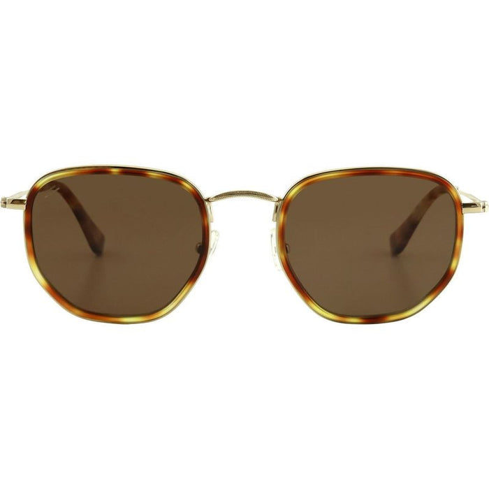 Saint, Honey Tort/Brown Polarised Lenses