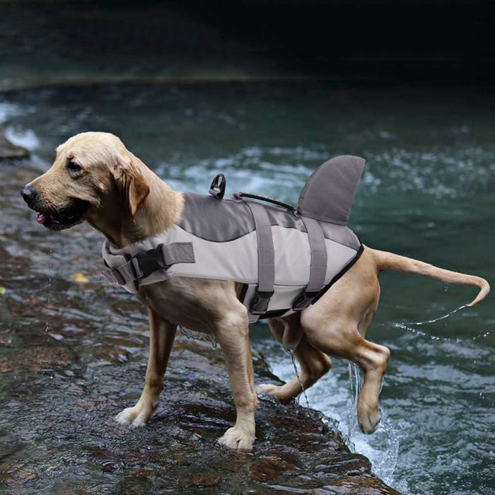 Shark Dog Life Vest & Safety Swimsuit