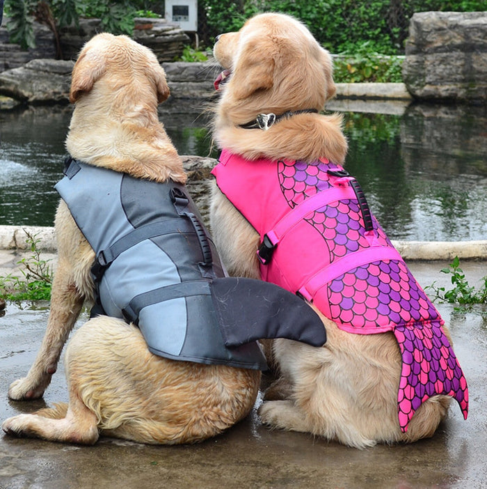 Shark Dog Life Vest & Safety Swimsuit