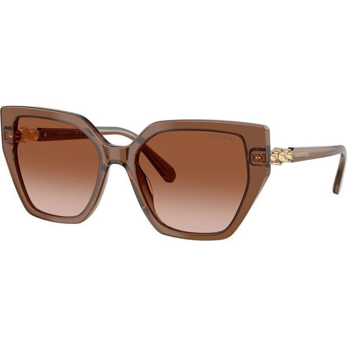 SK6016, Transparent Brown/Brown Gradient Lenses