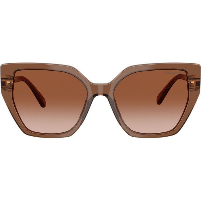 SK6016, Transparent Brown/Brown Gradient Lenses