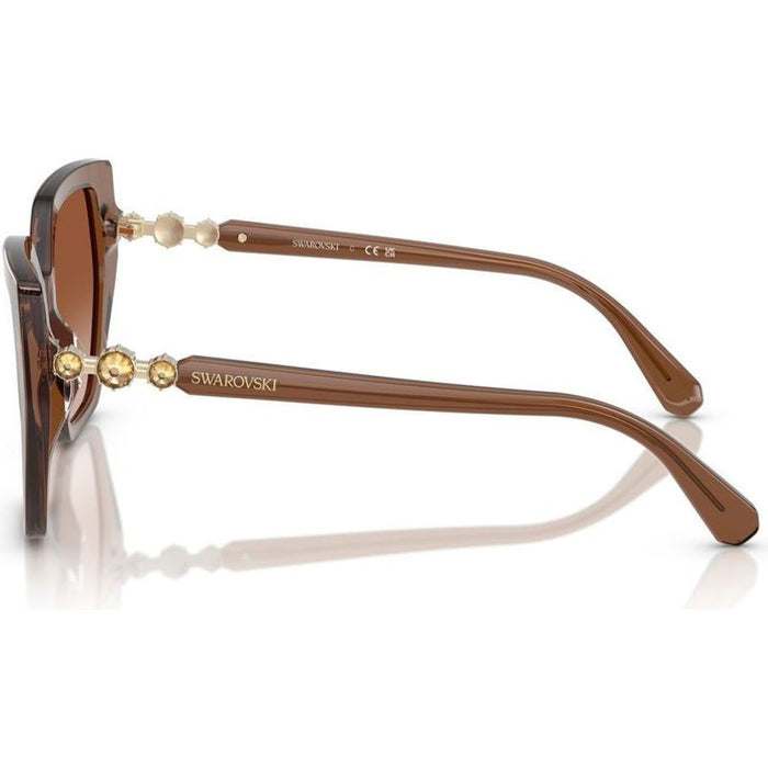 SK6016, Transparent Brown/Brown Gradient Lenses