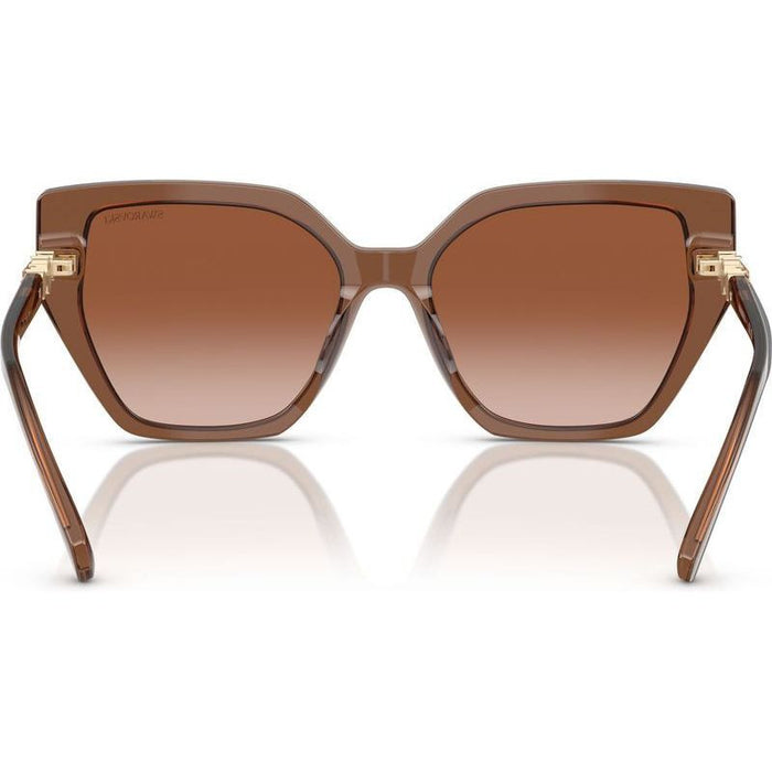 SK6016, Transparent Brown/Brown Gradient Lenses