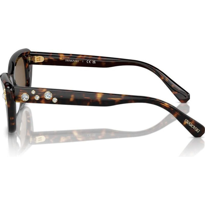 SK6019F, Havana/Dark Brown Lenses