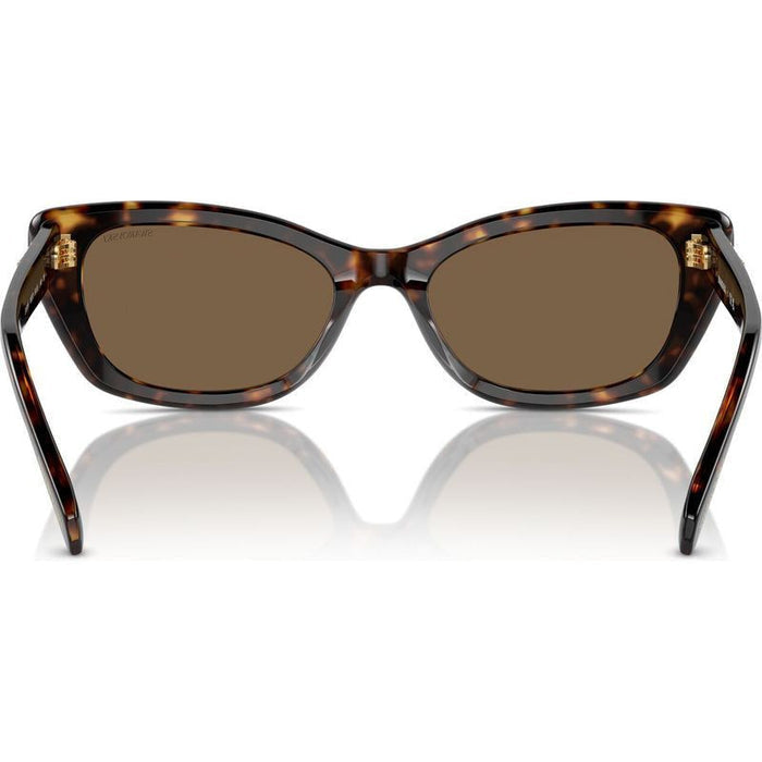 SK6019F, Havana/Dark Brown Lenses