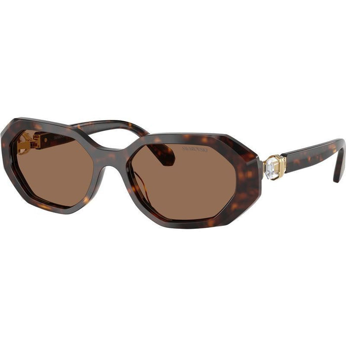 SK6028, Dark Havana/Dark Brown Lenses