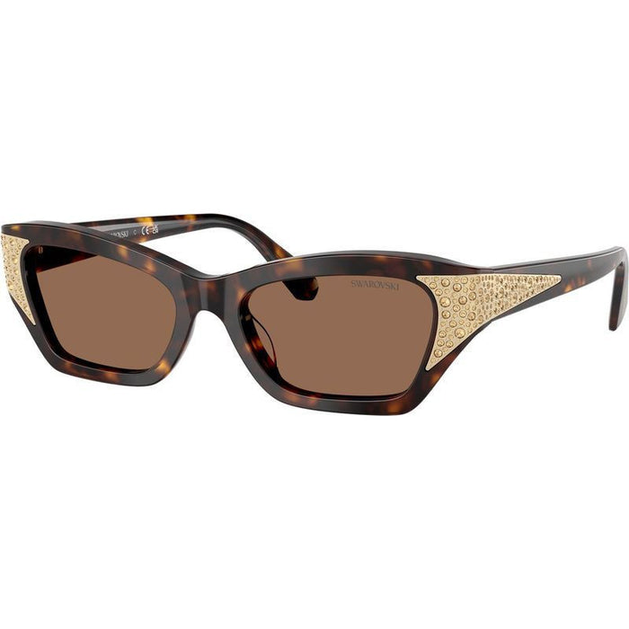 SK6029, Dark Havana/Dark Brown Lenses 53 Eye Size