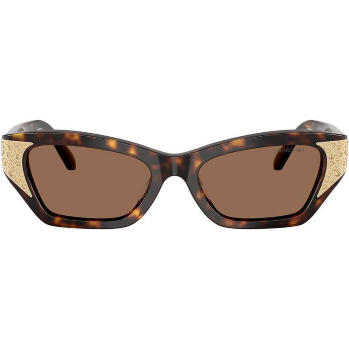 SK6029, Dark Havana/Dark Brown Lenses 53 Eye Size