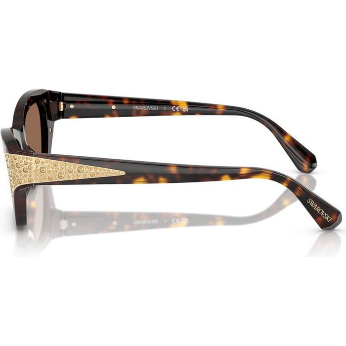 SK6029, Dark Havana/Dark Brown Lenses 53 Eye Size