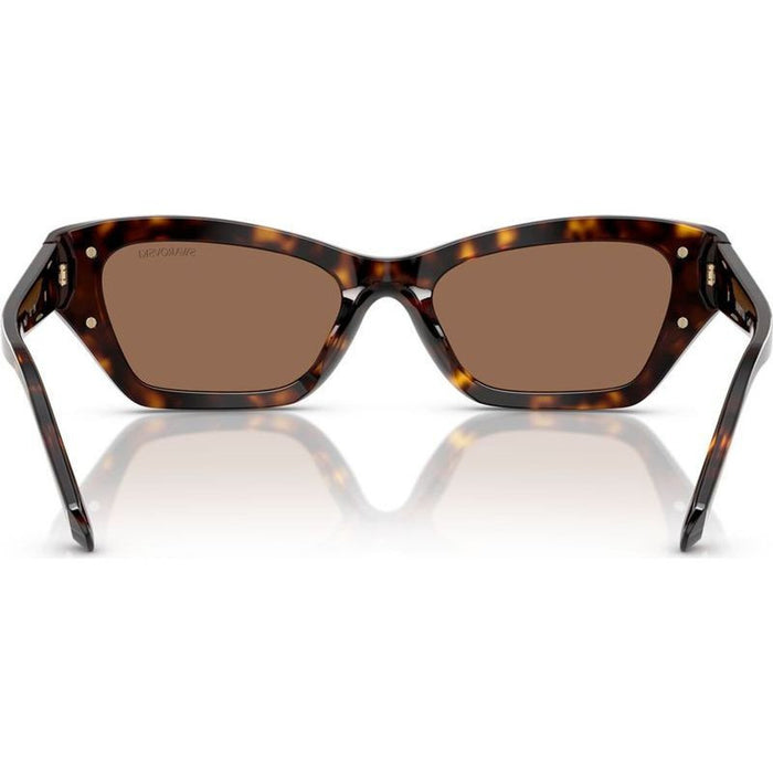 SK6029, Dark Havana/Dark Brown Lenses 53 Eye Size