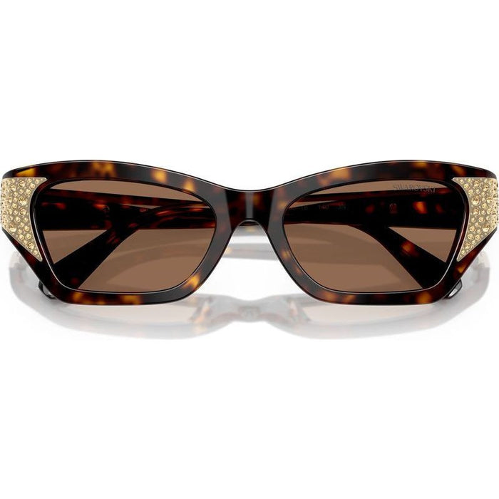 SK6029, Dark Havana/Dark Brown Lenses 53 Eye Size