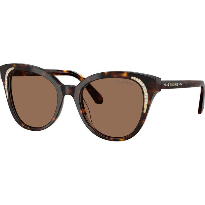 SK6031, Dark Havana/Dark Brown Lenses